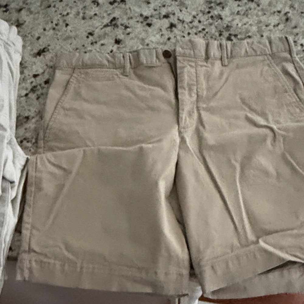 GAP Blue and Beige Shorts